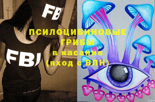 ПСИЛОЦИБИНОВЫЕ ГРИБЫ Аркадак