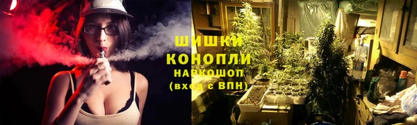 ПСИЛОЦИБИНОВЫЕ ГРИБЫ Аркадак